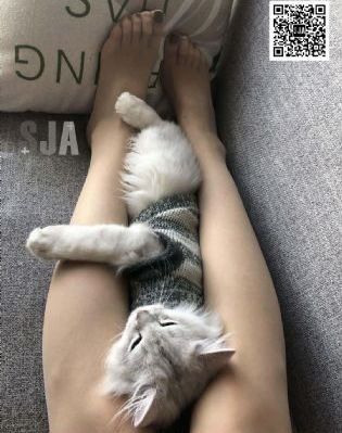 美式忌讳1_剧情片免费观看韩国